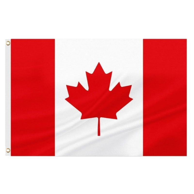 World Countries Polyester Flag Banner Home Decor 2 Pack