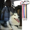 Car Back Seat Pet Protector Mat Rear Safety Belt Cat Dog Pet Carrier